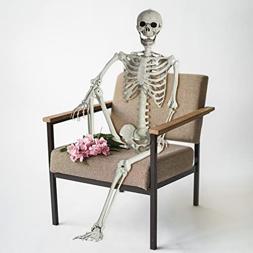 Sunreek Posable Halloween Skeleton - Halloween Full Corpody Skeleton Bones com articulações móveis para decoração de Halloween