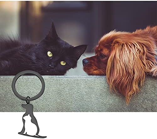 Fustmw Funny Dog Catchain Dog and Cat Amante Presentes Pet Gifts Para Presentes do Proprietário de Dog e Cato