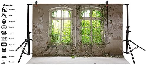 Baocicco 10x8ft Interior Fotografia de casamento Antecedentes de construção de parede de parede de prédio de parede de plantas