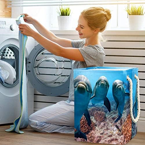 Retrato de golfinho oceano olhando para você casa dobrável cesto de roupa dobrável cesto cesto de dormitório armazenamento