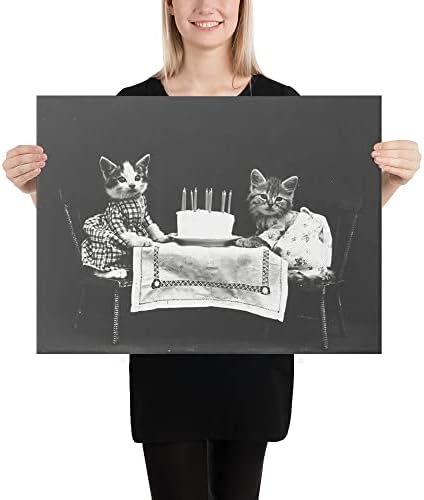 O bolo de aniversário: um aniversário para lembrar: dois gatinhos adoráveis ​​em vestidos compartilham bolo e tela de moldura de alegria