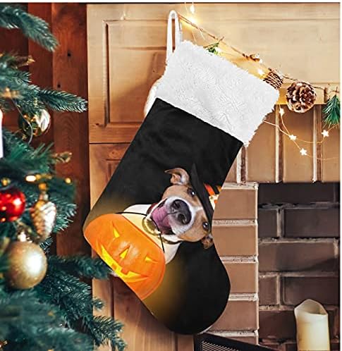 Meias de natal alaza halloween cão de abóbora clássico clássico personalizado decorações de meia para férias em família decoração