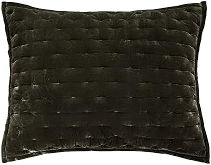 Hiend Accents Stella Faux Silk Velvet Pillow Sham, Standard, 21x27 polegadas, samambaia verde, romântica de estilo tradicional