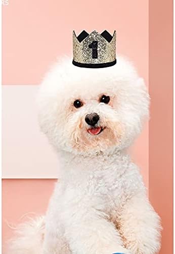 AAAMN DOG 1º aniversário Acessórios de ouro Chapéu de ouro com coroa, Cat Small Birthday Hat Birthday para animais de