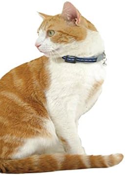Dingo vermelho colar de gato reflexivo, um tamanho se encaixa em tudo, azul escuro
