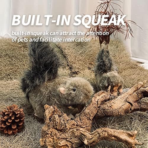 All for para paths AFP Dog Squirrel Toy com Treat Dispenser Toy