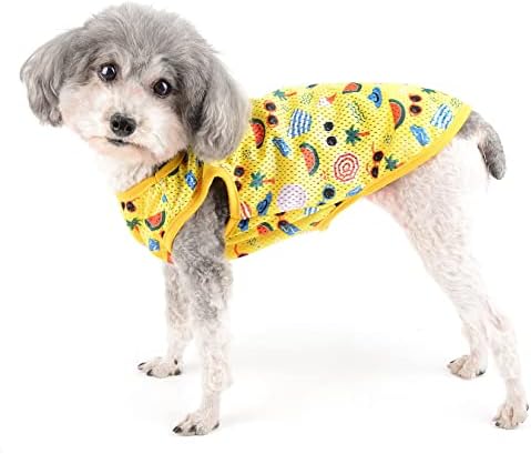 Camisetas de cachorro zunea para cães pequenos camisetas de colete de verão malha macia roupas de cachorro respirável
