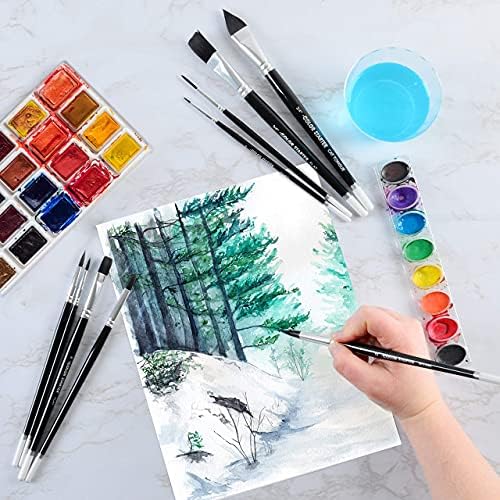 Conjunto de pincel aquarela para partida em cores - 9 PC Professional Water Color pincos para pintura de artistas, formas grandes e pequenas, planas e redondas