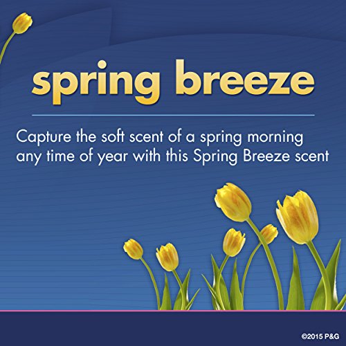 Original Spring Breeze Breeze Scent Feminino Invisível Ph Sólido Balanceado Antiperspirante e Desodorante 2,6 oz