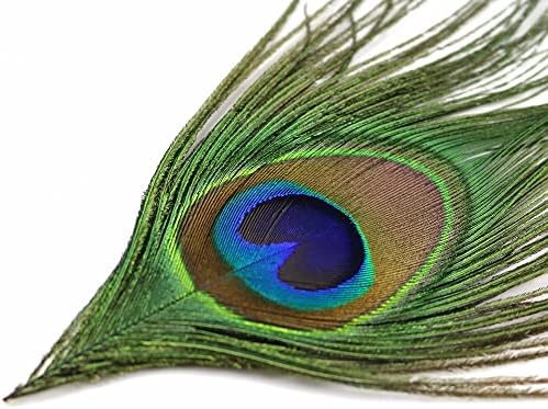 ZAMIHALAA - Olhos grandes penas de pavão de 10 a 15 cm para artesanato breol de jóias DIY plumas decorativas 10pcs/bolsa