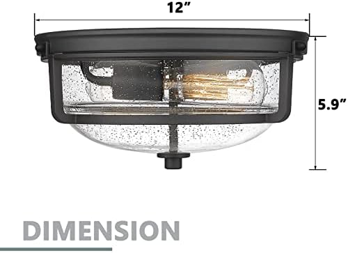 Emliviar, de 12 polegadas, luz de teto com tom de vidro semeado - luminária de teto de montagem de descarga externa externa, acabamento preto, WE249F BK