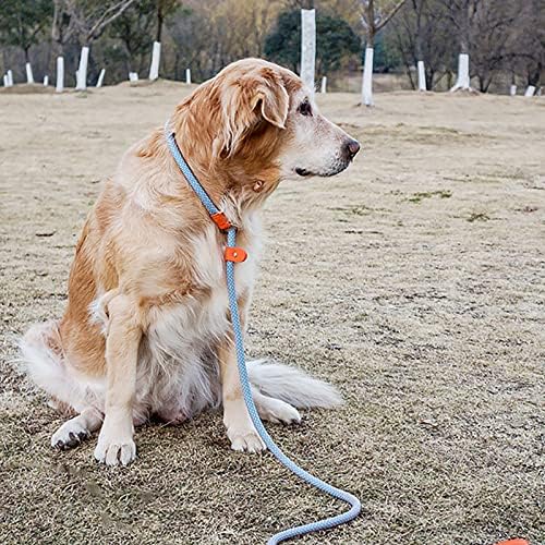 Slip Lead Dog Leashh confortável corda forte coleira para cães grandes, médios e pequenos, sem treinar coleira de treinamento com fios altamente reflexivos