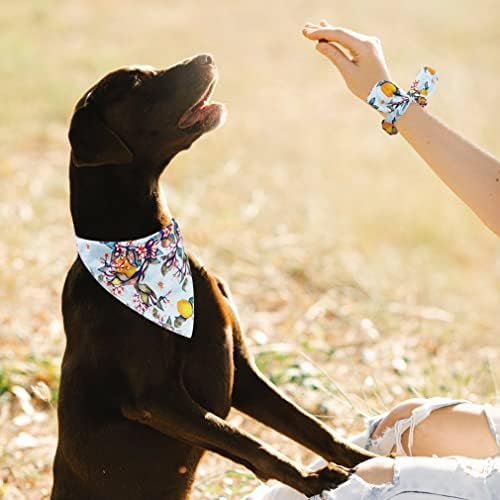 E-Clover Dog Bandanas e Matching Scrunchie Conjunto de cães Lenço de cachorro para cães para cães médios Grandes
