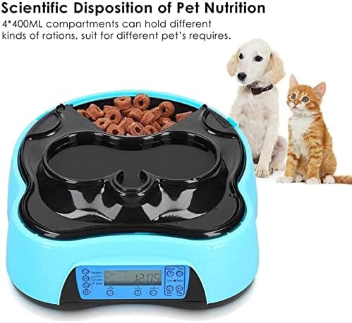 Pet Pet Water Dispenser Bowl Multifuncional alimentador automático para cães e gatos com garrafa de água Dispensador de água