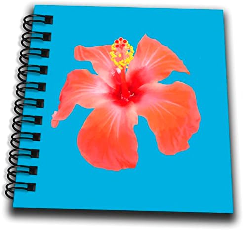 3drose Red Hibiscus vetor isolado arte botânica - Livros de desenho