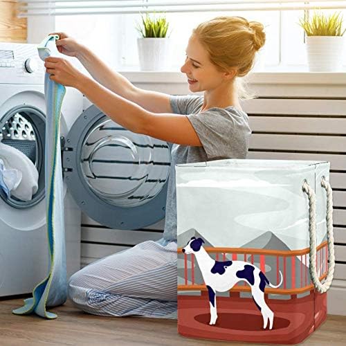 Animal WhiPet impermeável cestas de cesto de lavanderia