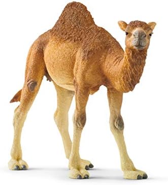 Schleich Wild Life, brinquedos de animais selvagens realistas para meninos e meninas, dromedary camel Toy Figura,