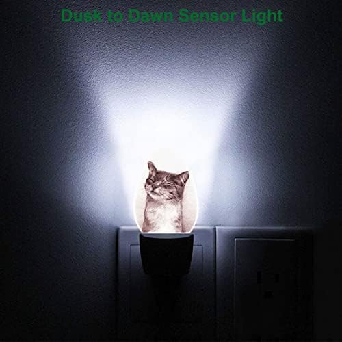 Swono Hand desenhado rindo luz noturna com sensores de luz Kitten fofo Smile Smile Night Light Auto Off Off 0,5W Luzes noturnas Conecte -se na parede para o quarto banheiro
