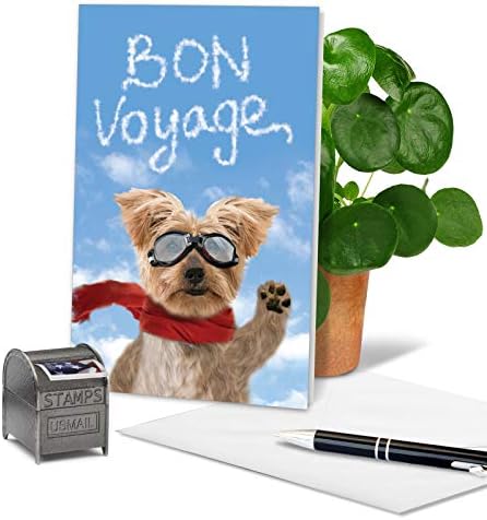 Nobleworks - Goodbye Dog - Cartão de Greeting de Animal Pet Funny Pet Bon com envelope C6345bvg